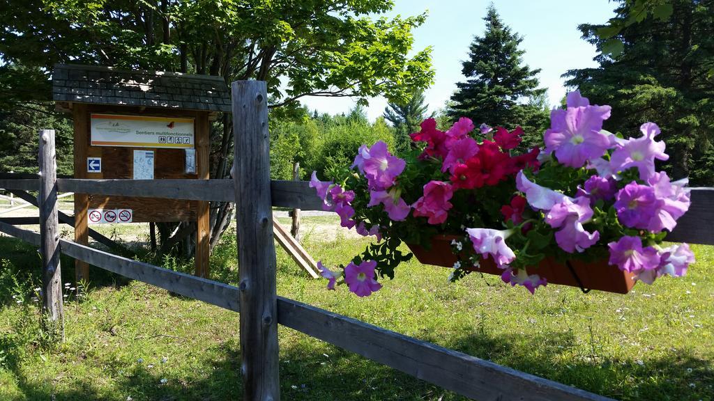 Auberge Le Cheval Bleu Saint-Alphonse-Rodriguez エクステリア 写真